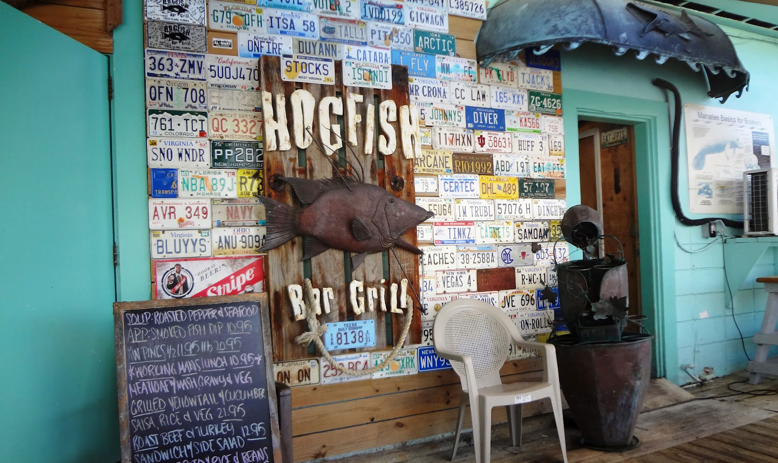 hogfish