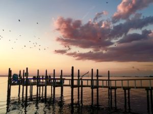 Dunedin Dock Sunset | Clearwater Weeki Wachee | Marinalife