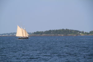 Casco Bay Schooner | Marinalife