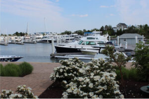 Flowers at docks | Bay Bridge Marina | Marinalife
