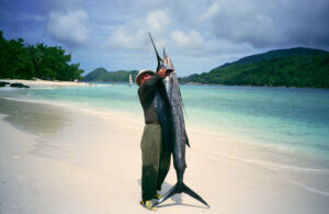 Mahe Beach by J. Strzelecki - Fishing Spots - Marinalife