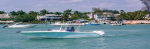 boat - captain's tips - marinalife