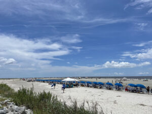st simon - low country - marinalife