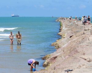 South Padre Island - weekend warrior - marinalife