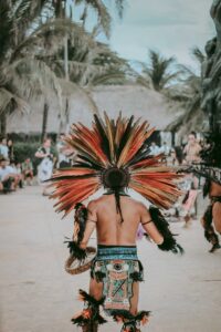playa del carmen - destination - marinalife