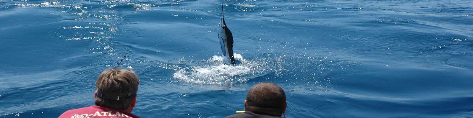 Virginia Beach is a popular destination during the summer where you???ll find ample opportunities for angling in the Atlantic Ocean and Chesapeake Bay.